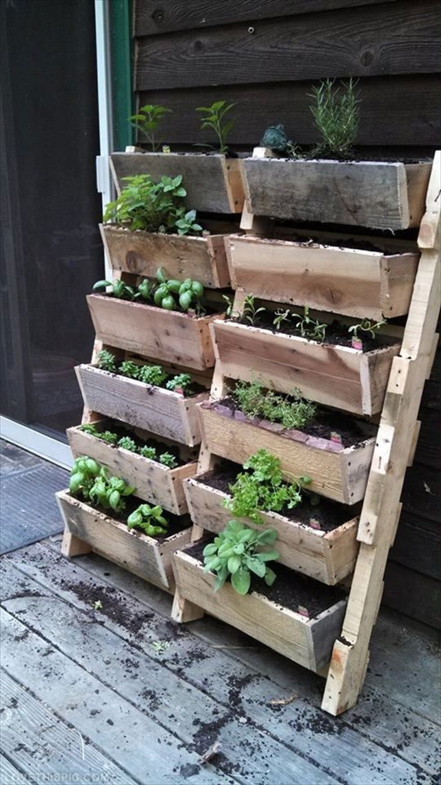 Pallet Herb Garden