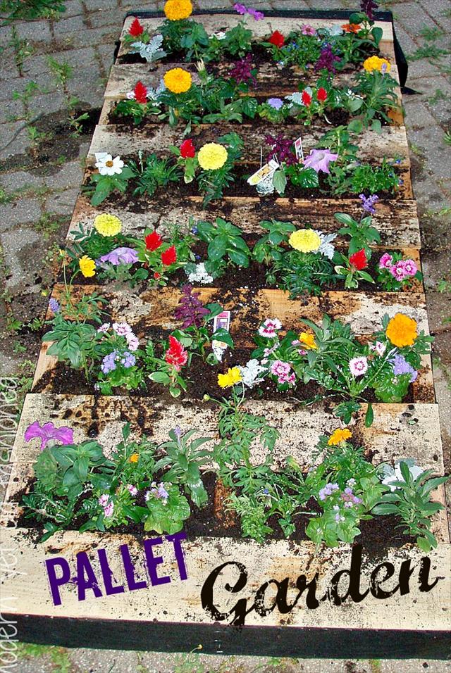 25 DIY Pallet Garden Projects | Pallet Furniture Plans