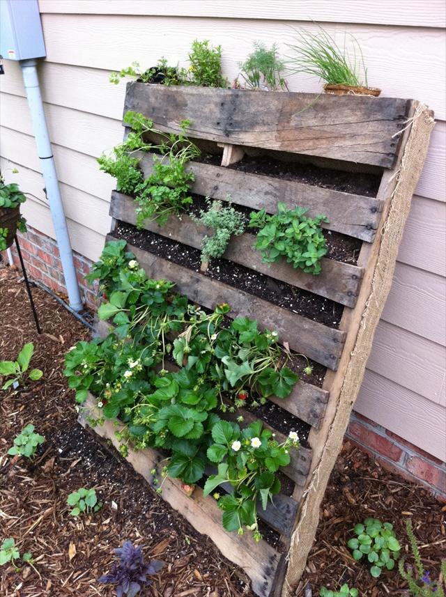 25 DIY Pallet Garden Projects | Pallet Furniture Plans