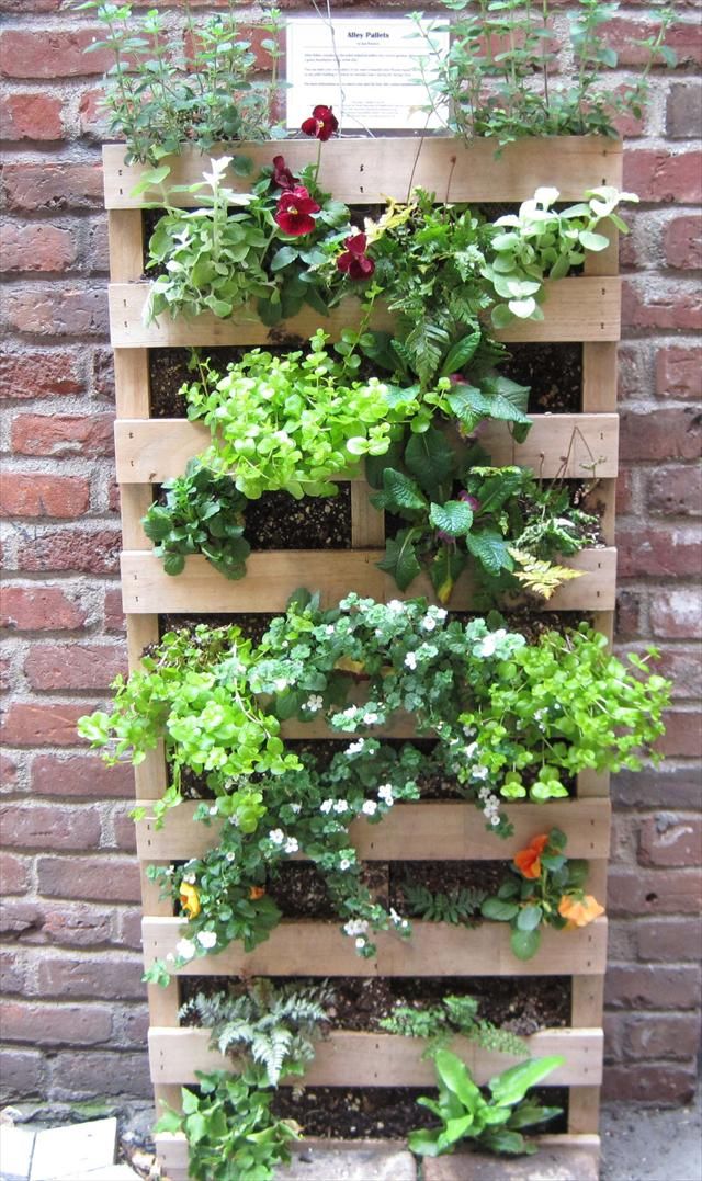 pallet garden vertical diy projects pallets wooden wood gardening herb outdoor gardens giardino made planting plants repurposing con old wall