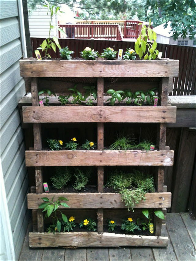 DIY Vertical Garden with Pallet