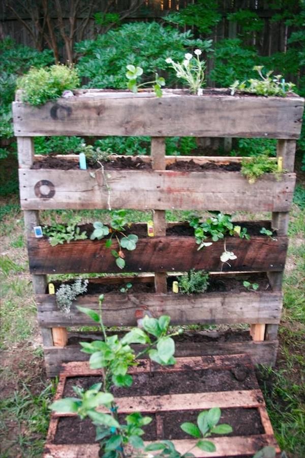 pallet garden pallets gardening diy projects furniture wood plans wooden vertical vegetable box landscaping making bed planter planters beds uses