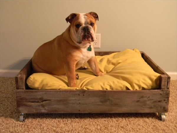 DIY Pallet Dog Bed