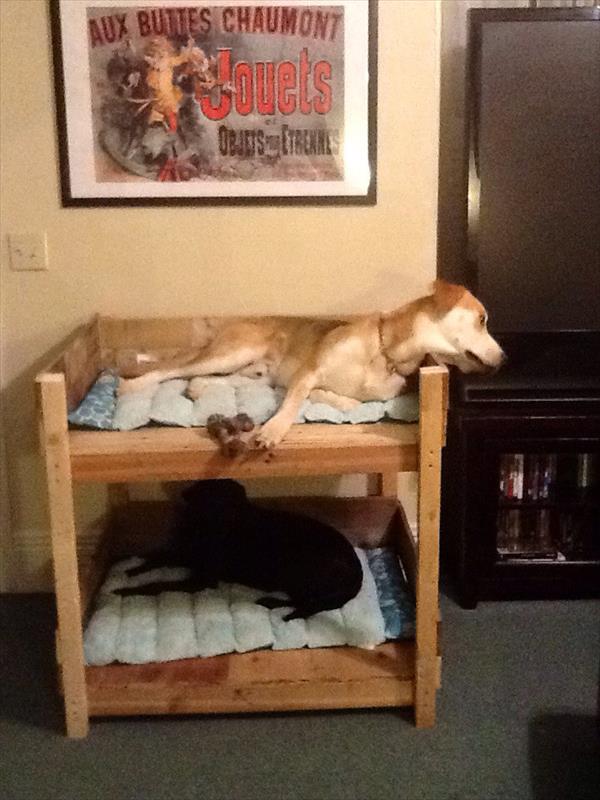 DIY Pet Bunk Bed - Plans to Build Dog Bed | Pallet Furniture Plans