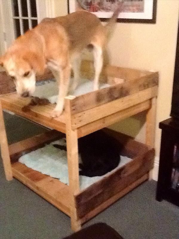 DIY Pet Bunk Bed - Plans to Build Dog Bed Pallet ...