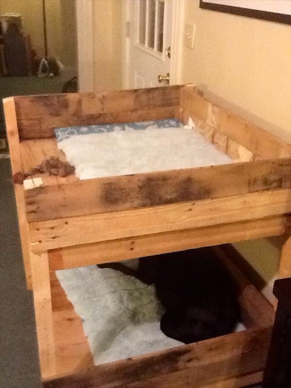 DIY Pet Bunk Bed - Plans to Build Dog Bed  Pallet Furniture Plans