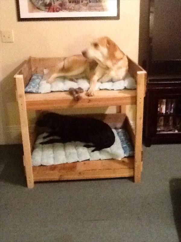 Dog Bed out of Recycled Wooden Pallets | 101 Pallets