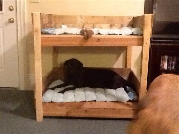 DIY Pet Bunk Bed - Plans to Build Dog Bed Pallet ...