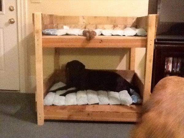 Dog Bed Plans PDF Woodworking