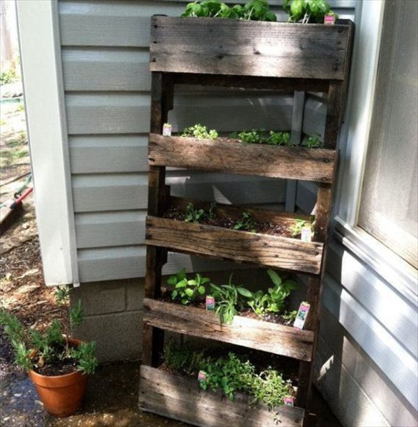 Pallet Herb Garden a Source of Natural Remedy | Pallet Furniture Plans