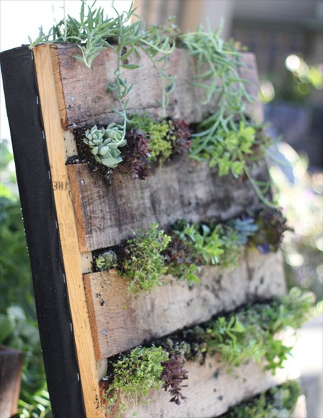 DIY Pallet Garden Give Sense of Freshness Indoor