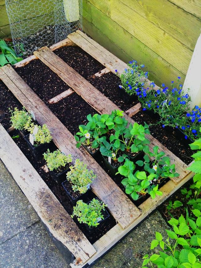 25 DIY Pallet Garden Projects | Pallet Furniture Plans