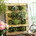DIY Vertical Garden with Pallet