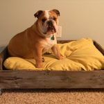 diy pallet dog bed with recycled pallets.